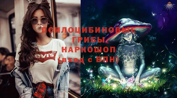 прущие грибы Армянск
